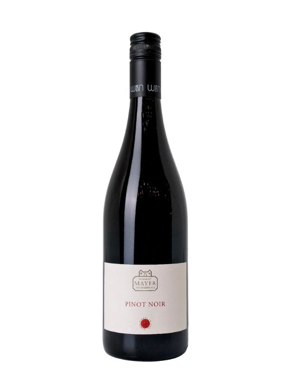 2020 Mayer Am Pfarrplatz Pinot Noir (Vienna, AT) 2R